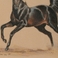 Black Stallion with White Blaze on his Forehead, Drawings by Cynthia Rigden