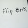 The Birth (Flip Book), Odd but Great by Suzanne Klotz