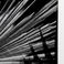 Backlit Palm Frond, Phoenix, Photography by J. Barry Thomson