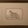 Pair of Hippotigris Engravings, Prints by William Home Lizars