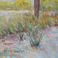 Artist's Desert Studio, Paintings by Erna Lange