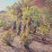Desert in Bloom, Paintings by Erna Lange