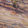 Desert in Bloom, Paintings by Erna Lange