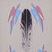 Tribute to Peyote Birds, Paintings by Loren Pahse-topah