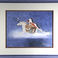 Brave Eagle, Odd but Great by Paul Pahse-topah