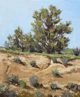 Looking Toward the Mc Dowells (mountains), Paintings by Lynn Baker