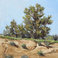 Looking Toward the Mc Dowells (mountains), Paintings by Lynn Baker