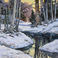 Winter Stream 2  Northern Arizona , Paintings by Lynn Baker