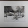 Quoth the Raven, Nevermore, Prints by Gene Kloss