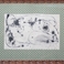 Reclining Female Figure, Drawings by Williams Soles