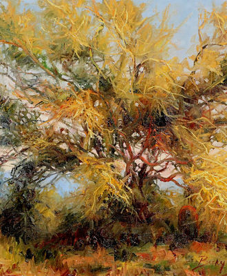 Glorious Tree !, Paintings by Becky  Joy