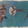 Maiden Masks, Prints by Michelle Tsosie Naranjo