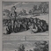 Widows of Florida, Prints by Bernard  Picart