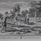 Widows of Florida, Prints by Bernard  Picart