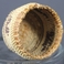 Knob Lidded Basket with Four Seabirds, Baskets by  Makah Tribe