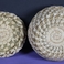 Split Stitch Knob Lidded Basketry Jar, Baskets by Tohono O'odham