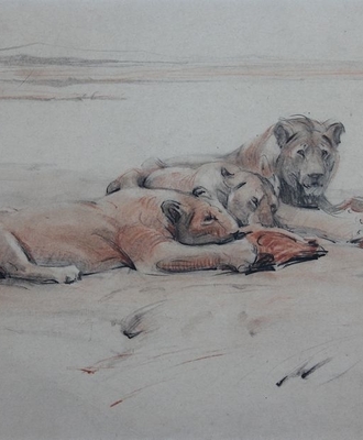 Realistic Rendering of Family Dining, Drawings by Josephine Pitkin