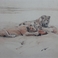 Realistic Rendering of Family Dining, Drawings by Josephine Pitkin