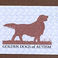 Golden Dogs of Autism, Books by Nelleke Nix