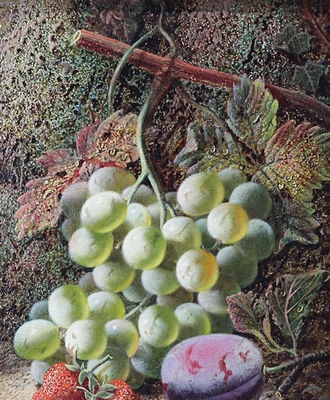 Mixed Fruit, Paintings by Oliver Clare