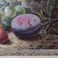 Mixed Fruit, Paintings by Oliver Clare