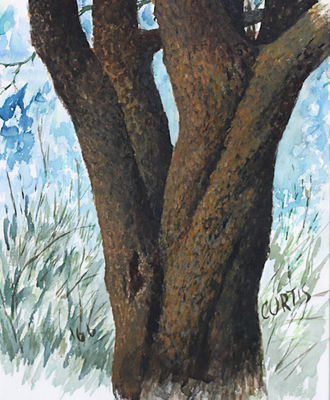 Muscled Tree Trunk, Paintings by Philip Curtis