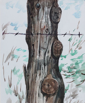  Barbed Wire Fencing, Paintings by Philip Curtis