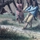 Indian Boys Breaking a Pony, Prints by  Harper's Weekly