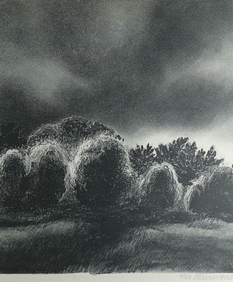 Storm Light, Prints by Claire Van Vliet