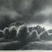 Storm Light, Prints by Claire Van Vliet