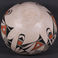Polychrome Pottery Jar, Pottery by   Acoma Pueblo