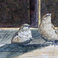 Two Sparrows on a Window Sill, Paintings by Gary Kolter