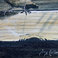 Two Sparrows on a Window Sill, Paintings by Gary Kolter