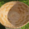 Large Coiled Basket, Baskets by  Tohono O'Odham