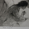 Chance  Encounter, Prints by Gene Kloss