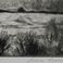 Tres Orejas, Prints by Gene Kloss