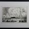 Tres Orejas, Prints by Gene Kloss