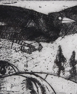 Giant Crow, Prints by James  Davis
