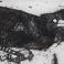 Giant Crow, Prints by James  Davis