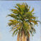 Palm #2, Paintings by Lynn Baker