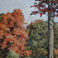 Back Road, Paintings by Lynn Baker