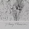Winter Grasses New Hampshire, Photography by J. Barry Thomson