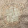 Bulawayo Wobbly Basket, Baskets by  Zimbabwe