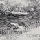 Crawdad Creek, Drawings by Virgil C. Stephens