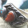 Sterling Floriform Ring Persian Turquoise & Coral, Jewelry by  Navajo