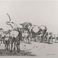 Heading Home I and II, Prints by Robert Hills